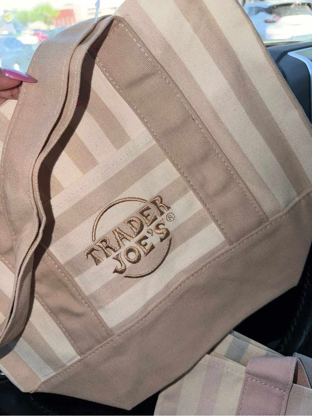 Trader Joe's Mini Striped Tote Bag in Beige